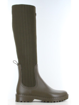 alerce olive bas olive