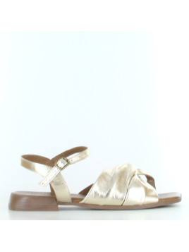 camelia tartuffe oro sole...