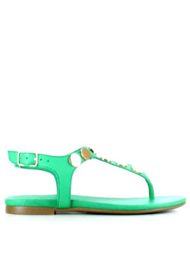 vigne 101140 grass plat vert