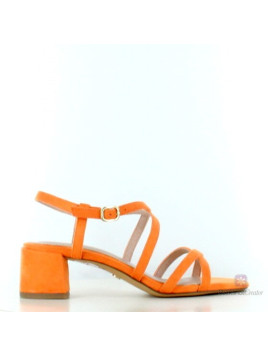 bichonner 28204 orange 606...