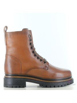 cedule t60209 avana 6078 camel