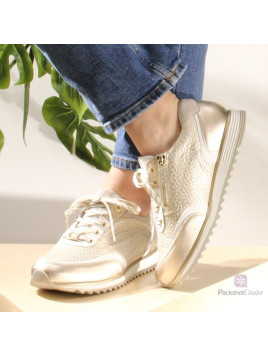 debecter 30 2055 platine...