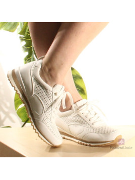 darone 23772 blanc 100 blanc