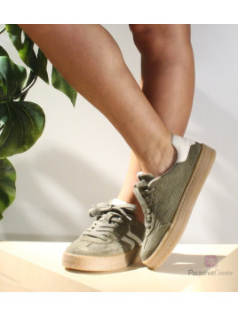 falzar 23723 olive 722 olive