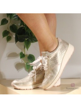 gaba  23766 rose 522 or rose